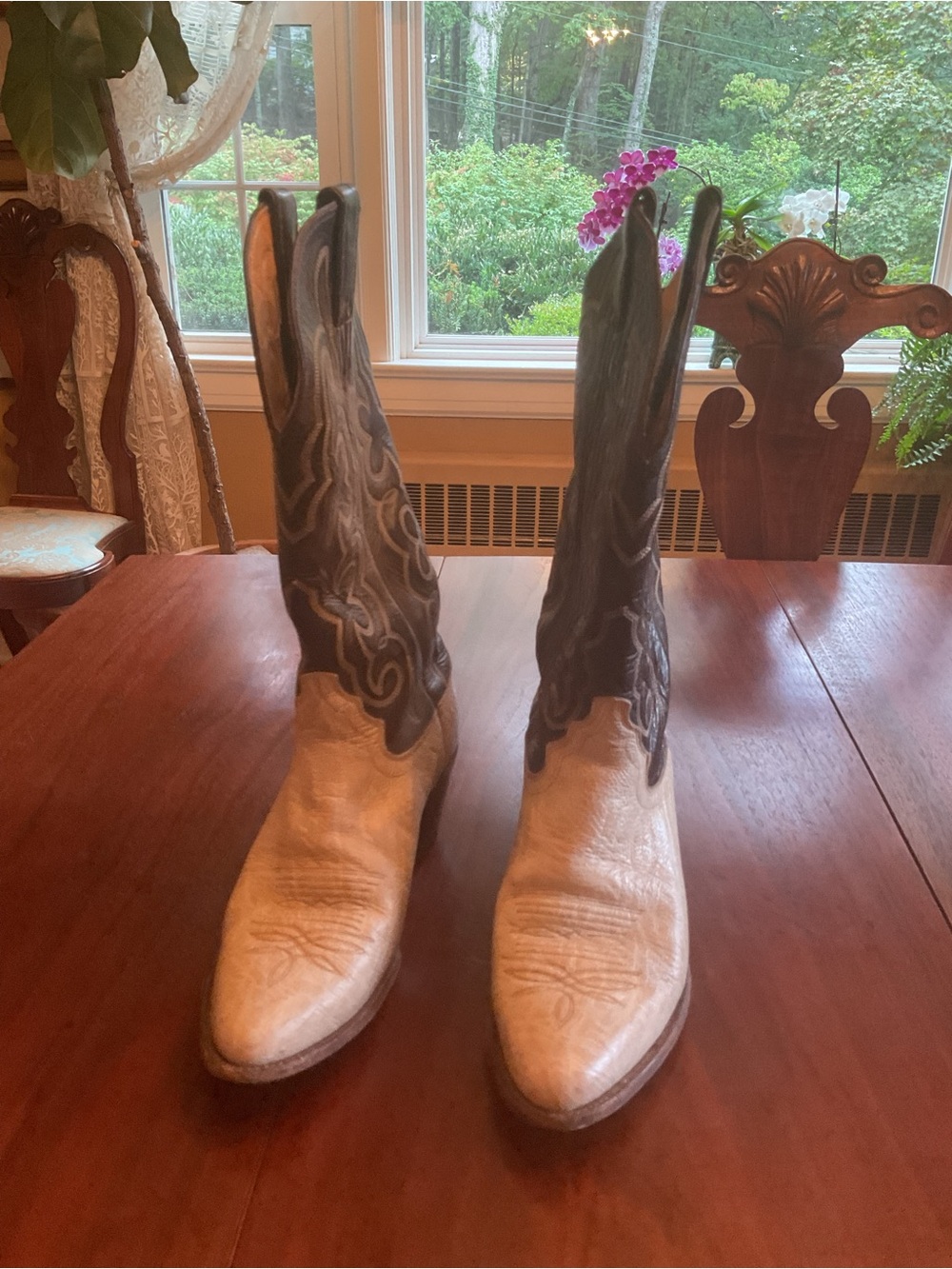 Justin Boots Two-Tone Lace Up Western Boots in Cream and Dark Brown